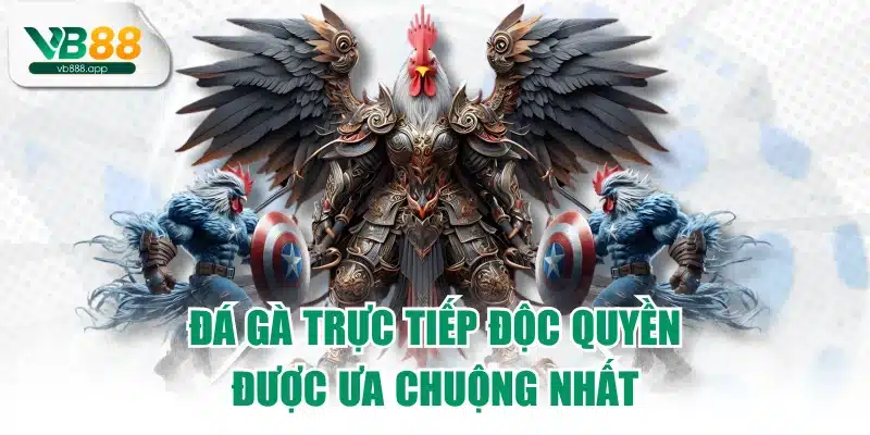 Đá gà trực tiếp độc quyền được ưa chuộng nhất